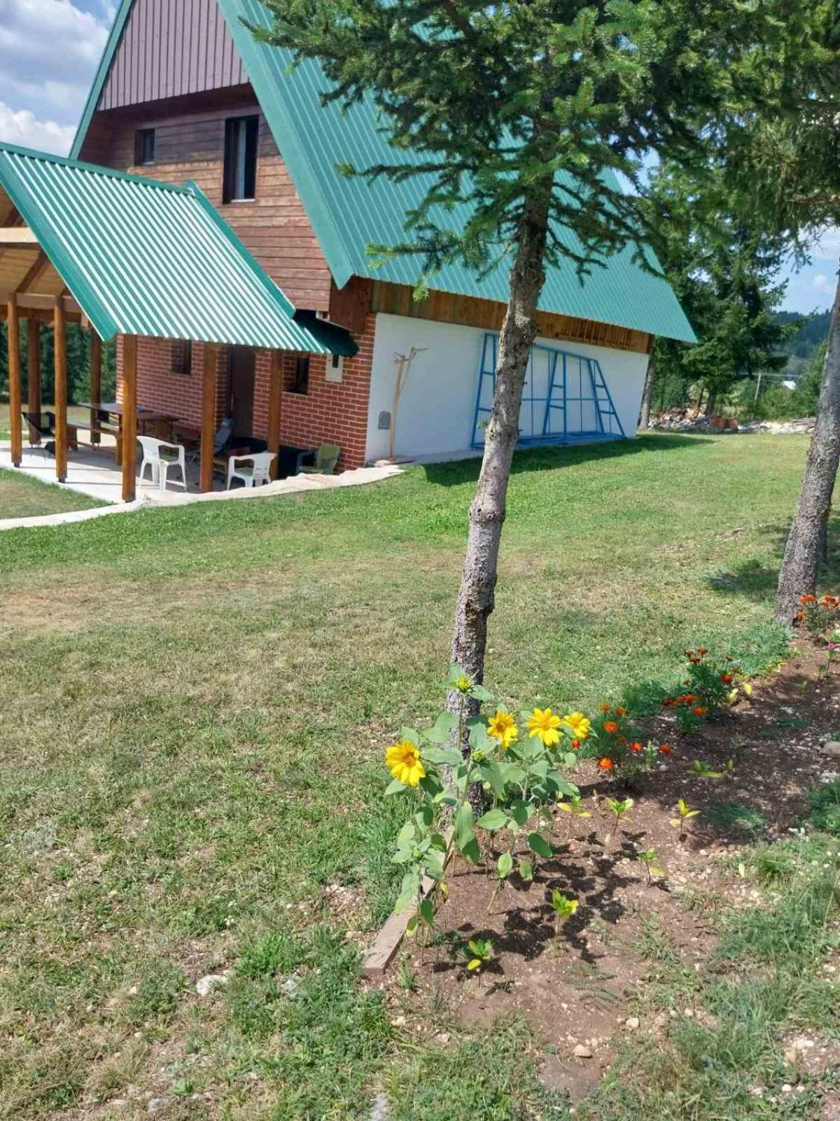 House In Forest Žabljak 外观 照片