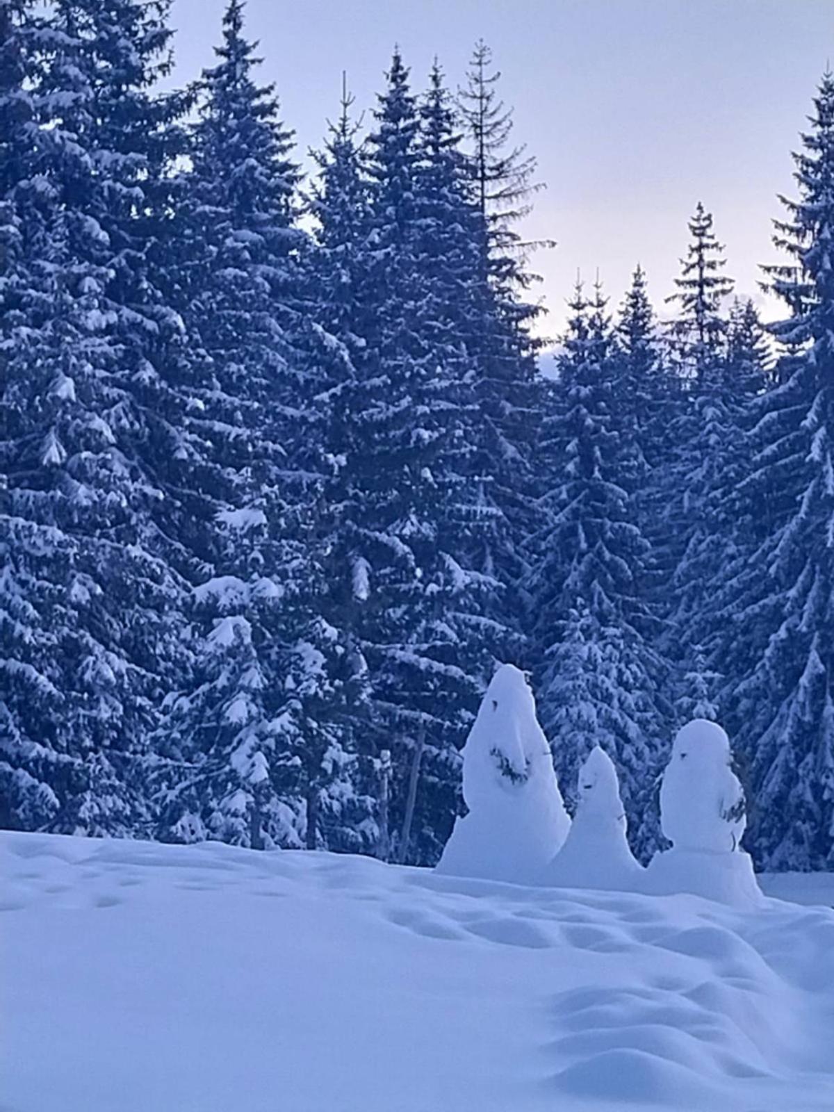 House In Forest Žabljak 外观 照片