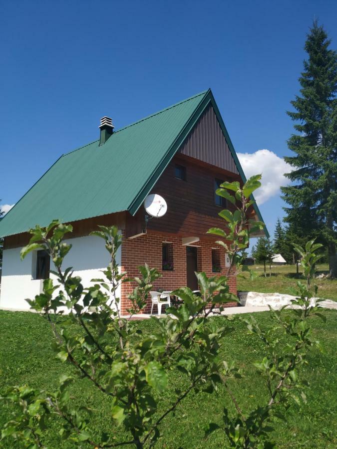 House In Forest Žabljak 外观 照片