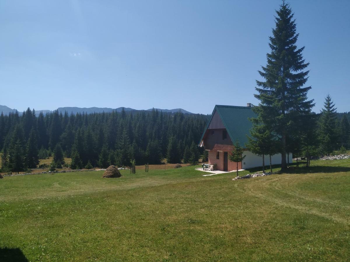 House In Forest Žabljak 外观 照片
